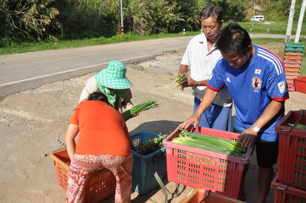 Phu Chi Fa7_resize.JPG